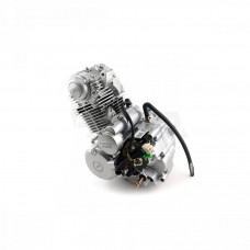 Двигатель в сборе ZS 165FMM (CB250D-G) 223см3, возд. охл., электростартер